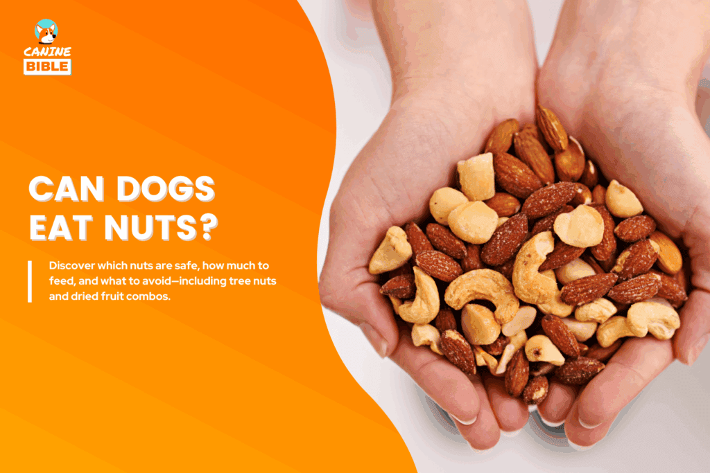 can dogs eat nuts