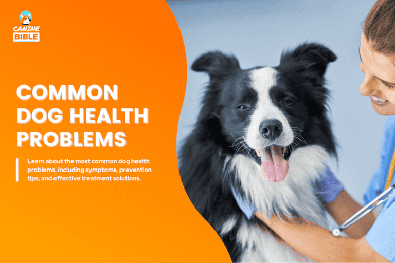 common dog health problems