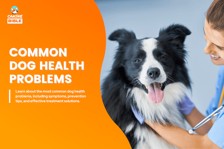common dog health problems