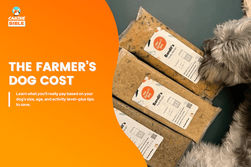 the farmer's dog cost