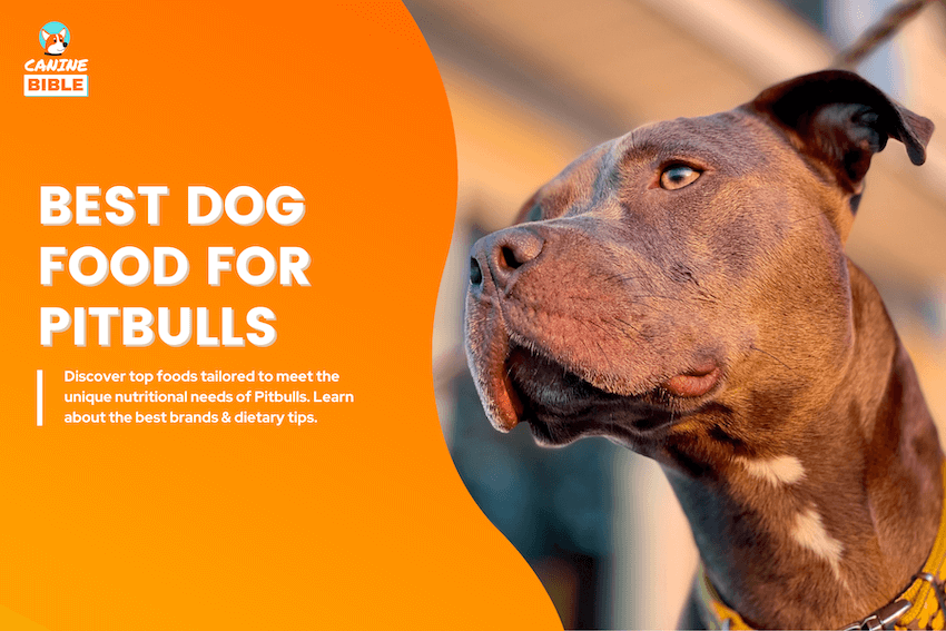 best dog food for pitbulls