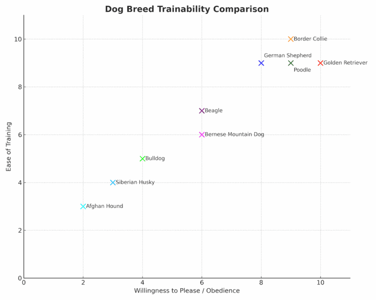 Beagle Dog Breed Information: Traits, Facts & More - Canine Bible