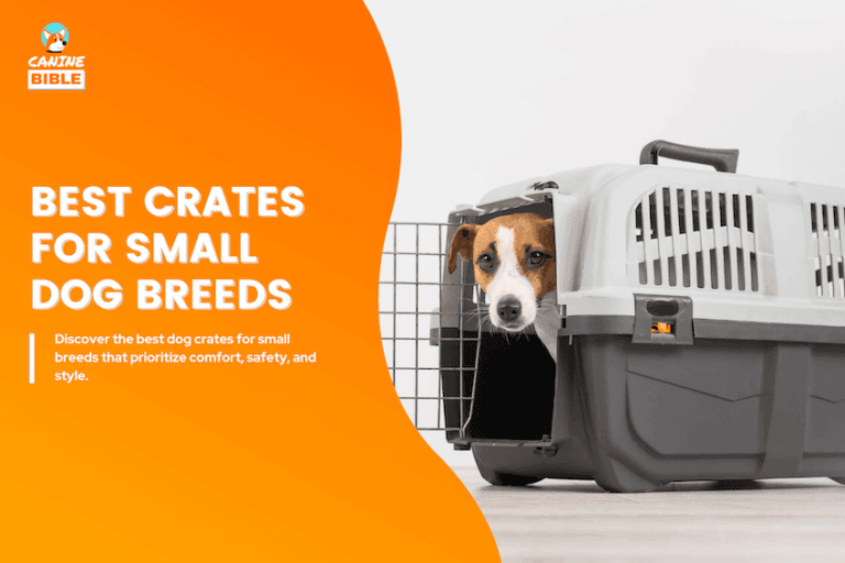best crates for small dog breeds