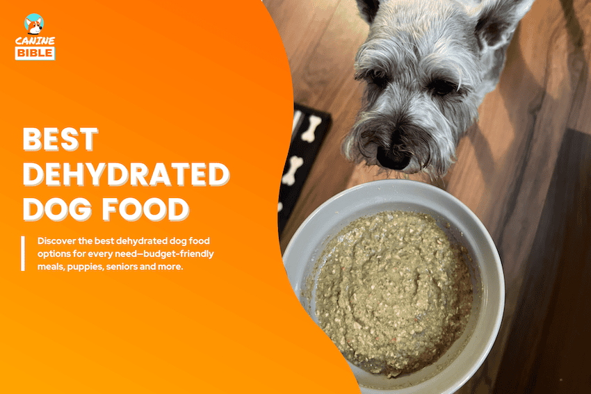 best dehydrated dog food