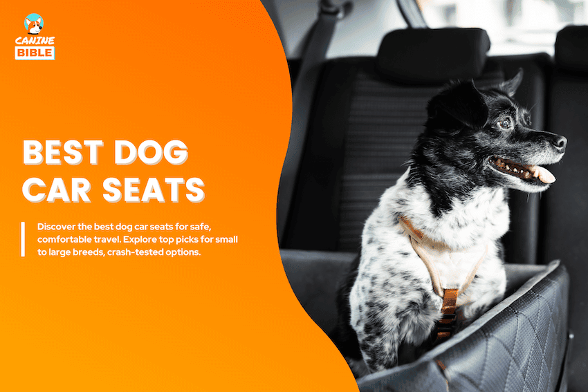 best dog car seat