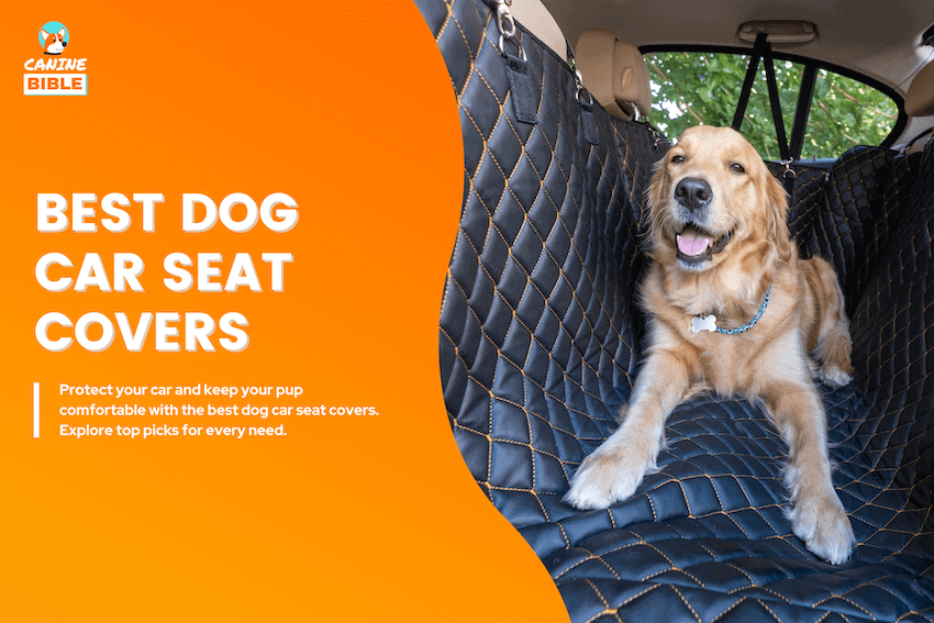 best dog car seat cover