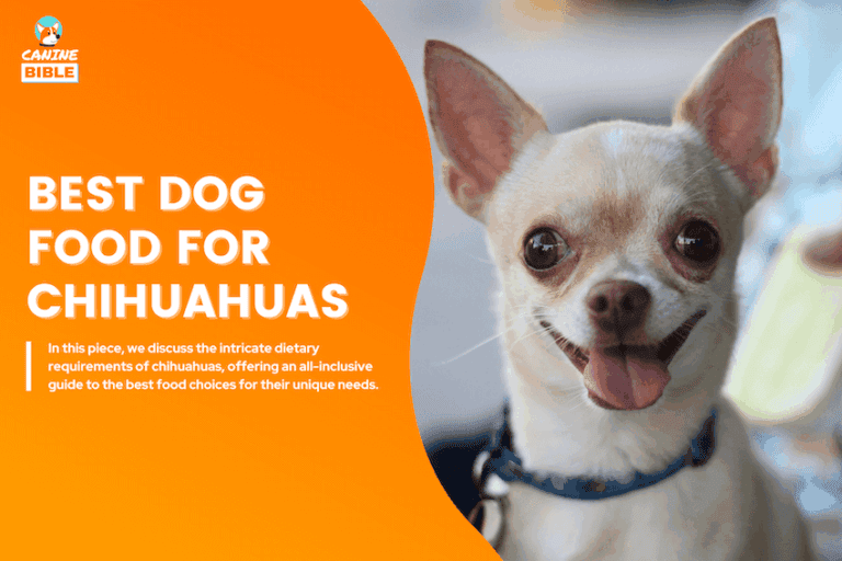15 Best Dog Foods For Chihuahuas in 2025: Vet-Approved