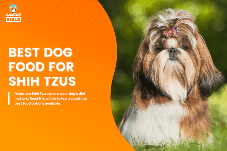 best dog food for shih tzus