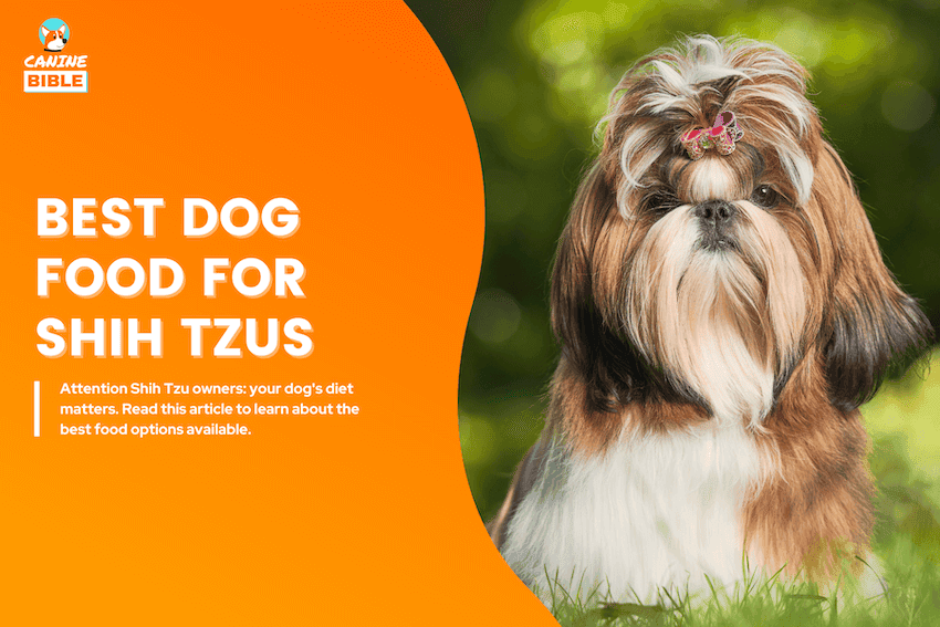 best dog food for shih tzus