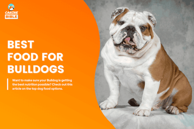 best dog food for english bulldogs