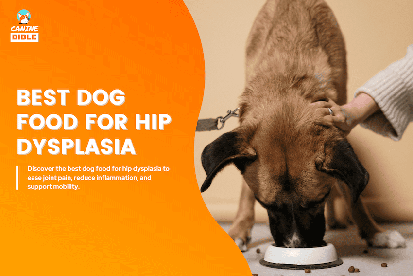 best dog food for hip dysplasia