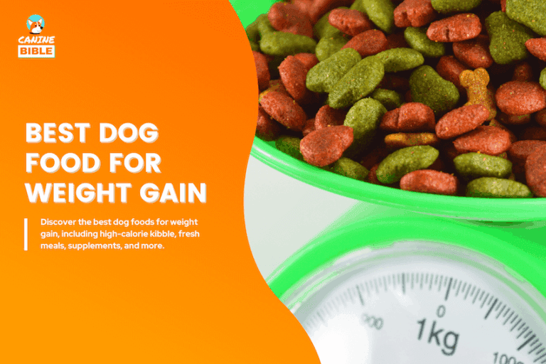 best dog food for weight gain