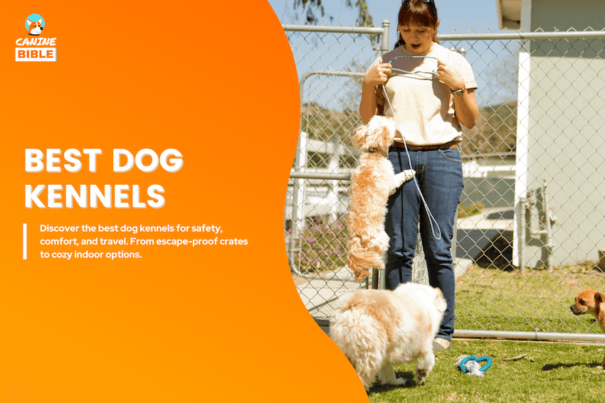 best dog kennels