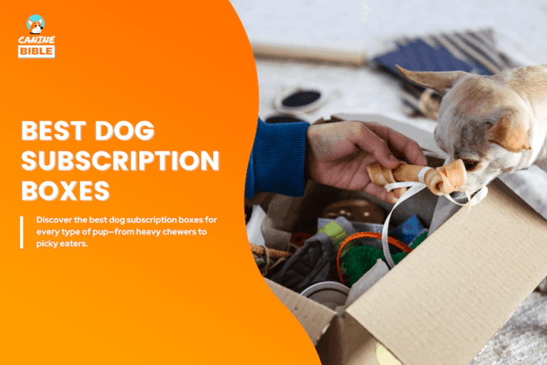 best dog subscription box