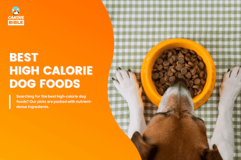 best high calorie dog food