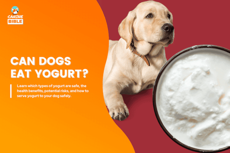 can dogs eat yogurt