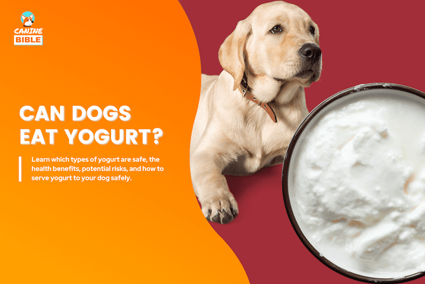 can dogs eat yogurt