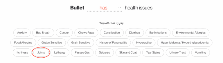 Picture Idea: 10 Best Dog Foods For Hip Dysplasia 2026 Vet Approved