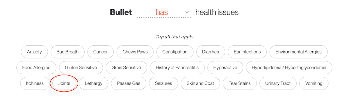 Visual Reference: 10 Best Foods For Dogs With Arthritis 2026 Vet Approved