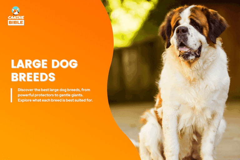 large dog breeds