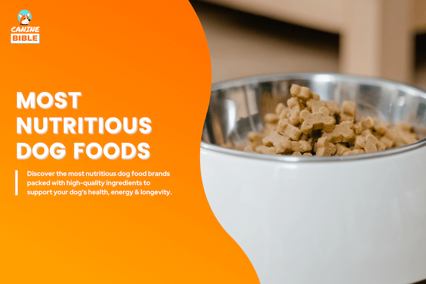 most nutritious dog foods