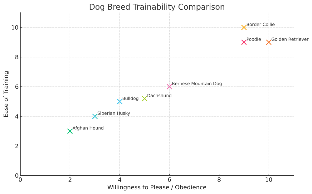 Dachshund trainability chart