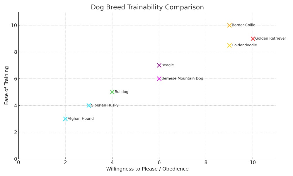 Goldendoodle trainability chart