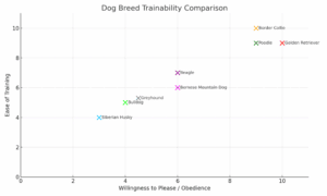 Greyhound Dog Breed Information: Traits, Facts, Care & More - Canine Bible