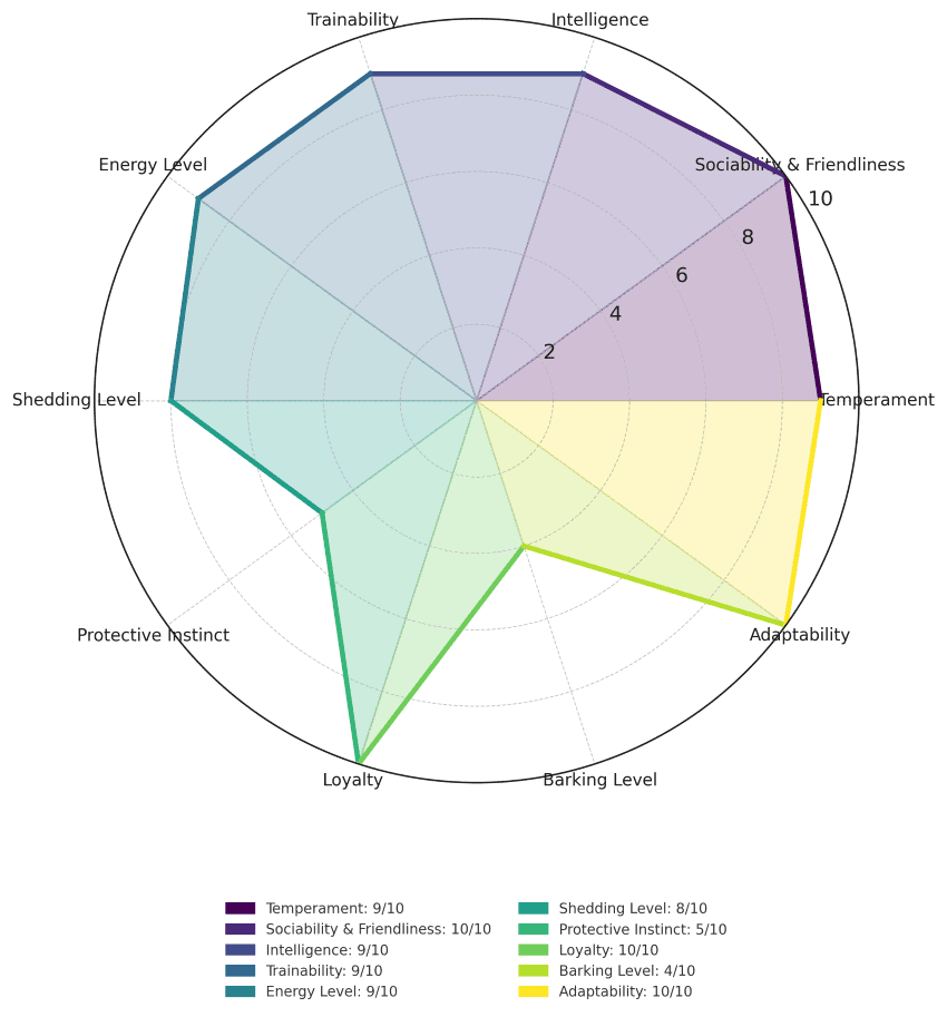 Labrador Retriever traits