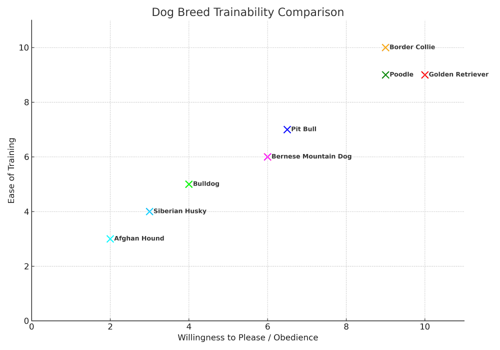 Pitbull trainability chart