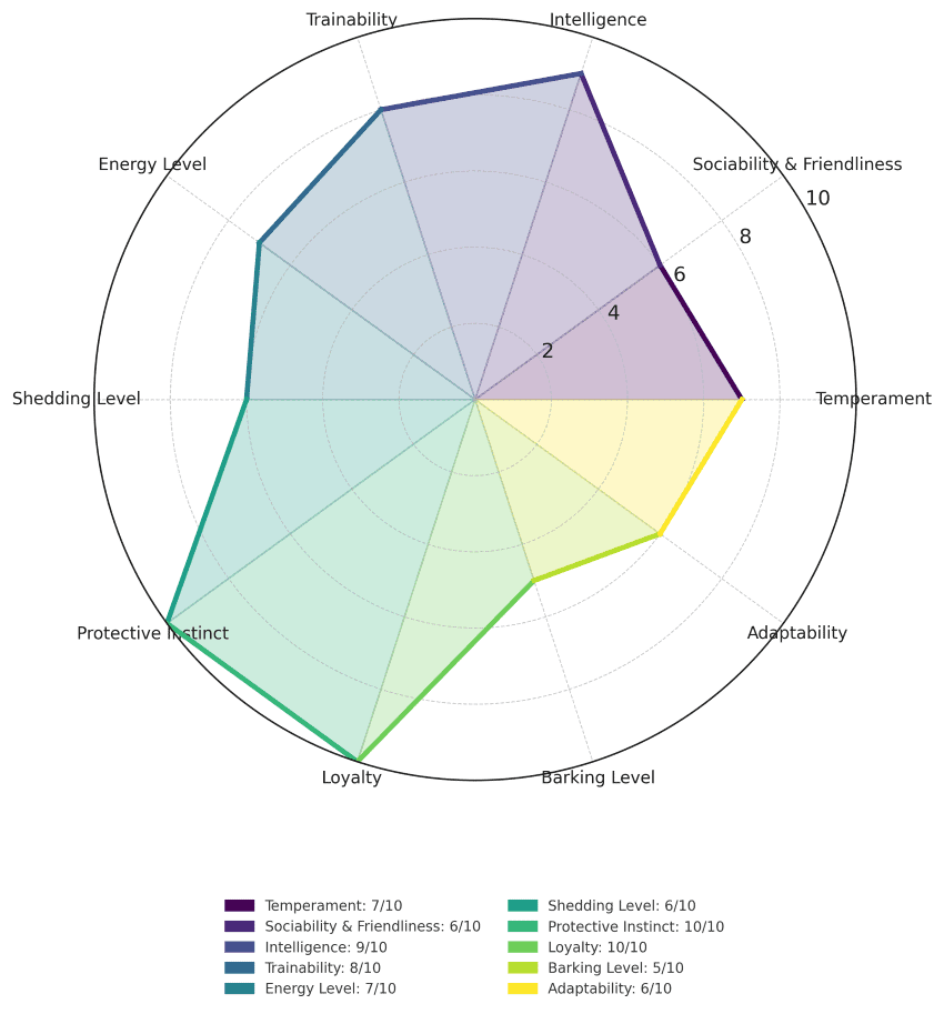 Rottweiler Traits