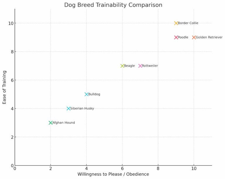 Usrc Rottweiler Rottweiler Dog Breed Information: Traits, Facts, Care & More - Canine Bible