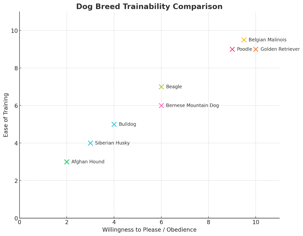 belgian malinois trainability chart