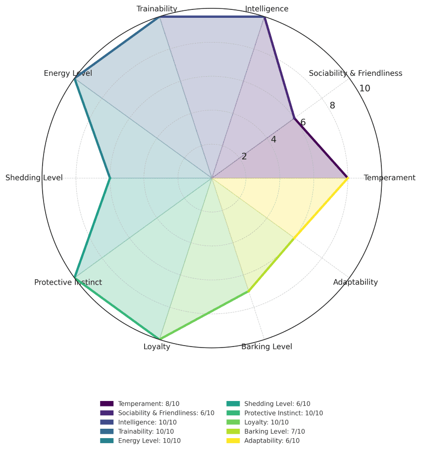 belgian malinois traits