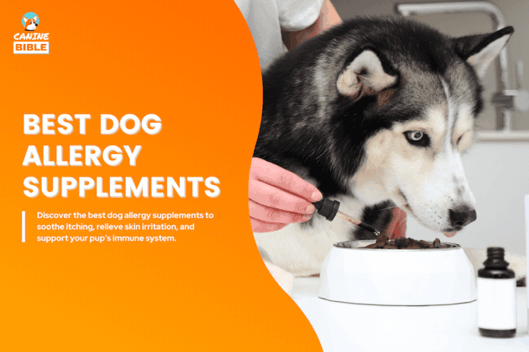 best dog allergy supplement