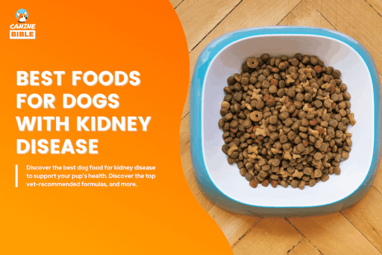 best dog food for kidney disease
