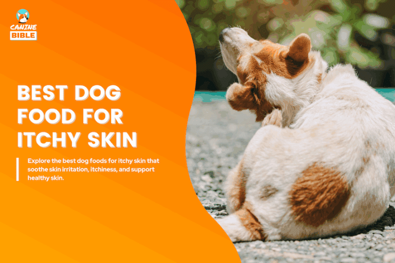 best dog food for itchy skin