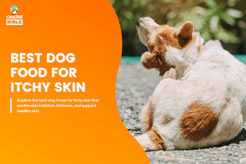 best dog food for itchy skin