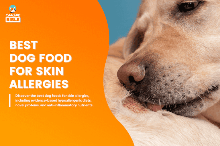 Best Dog Food for Skin Allergies