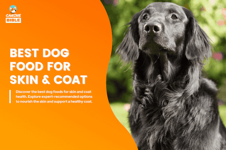 best dog food for skin and coat