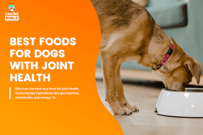 Best Dog Foods for Joint Health