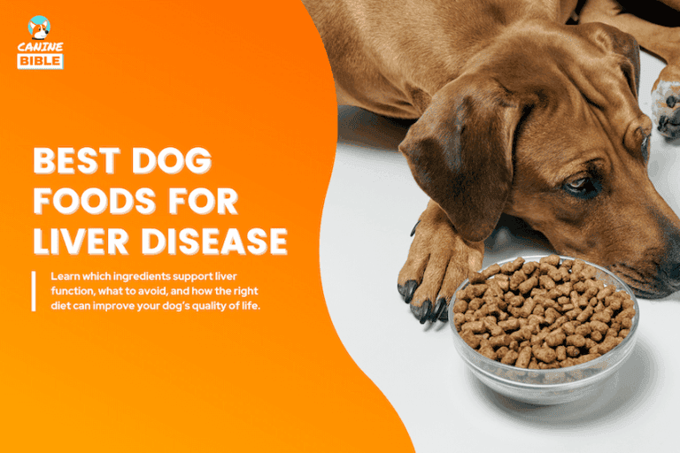 The Best Dog Foods for Liver Disease in 2025: Vet-Approved
