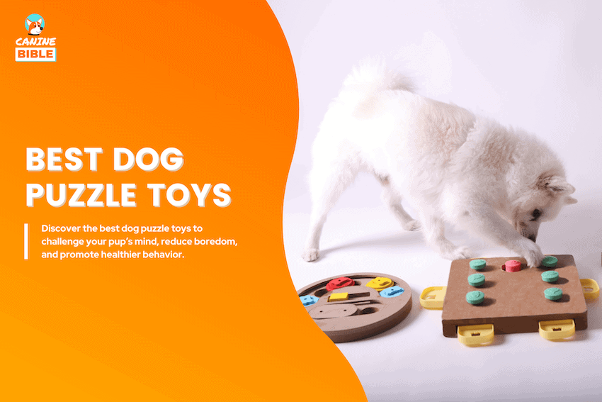 best dog puzzle toys