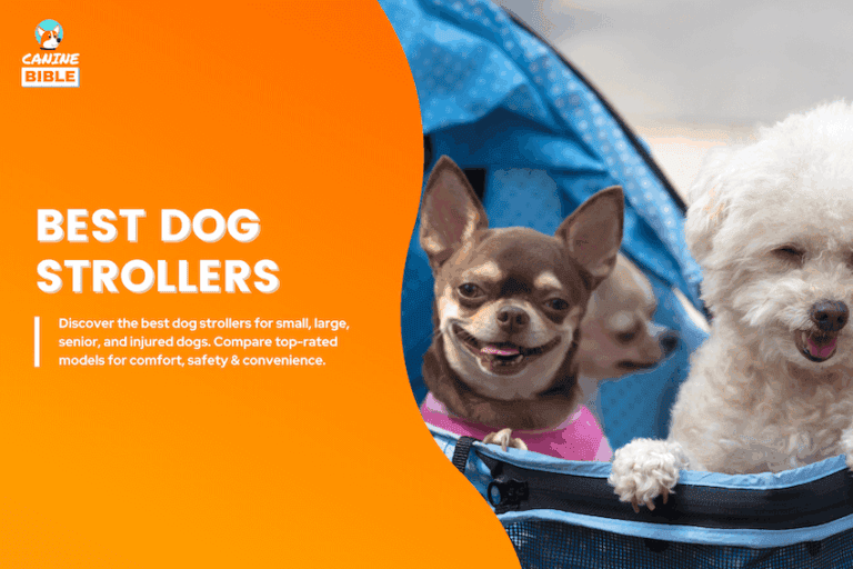 best dog strollers