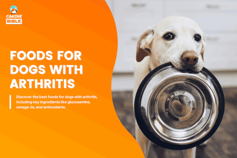 best foods for dogs with arthritis