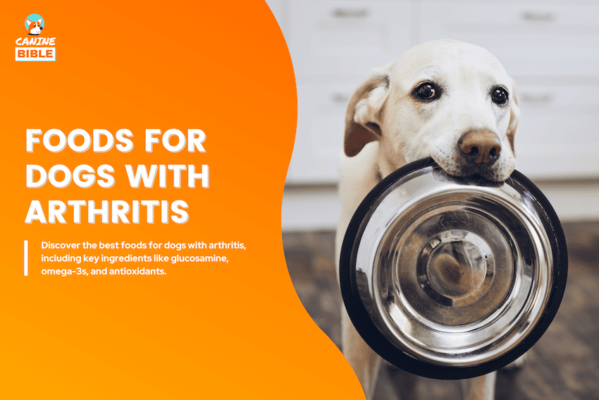 best foods for dogs with arthritis