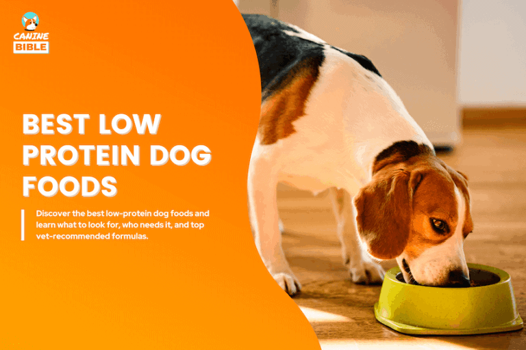 best low protein dog foods