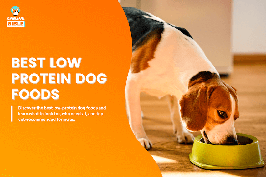 best low protein dog foods