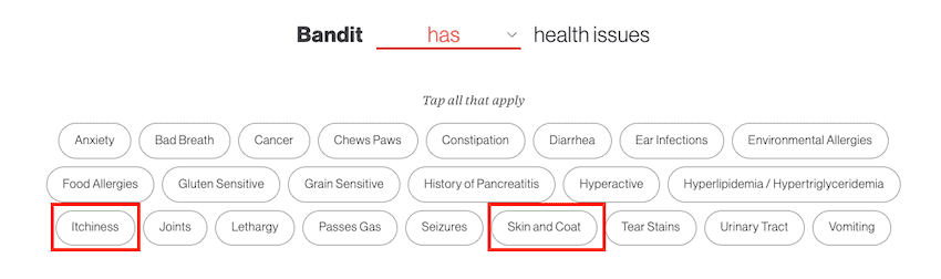 dog allergy skin food