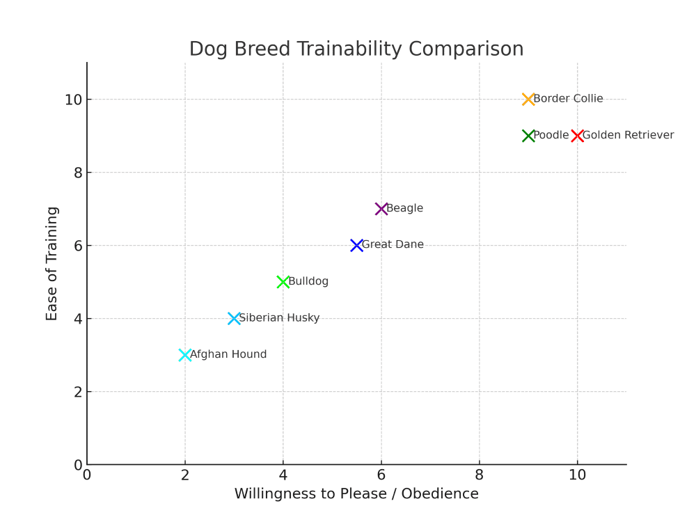 great dane trainability chart